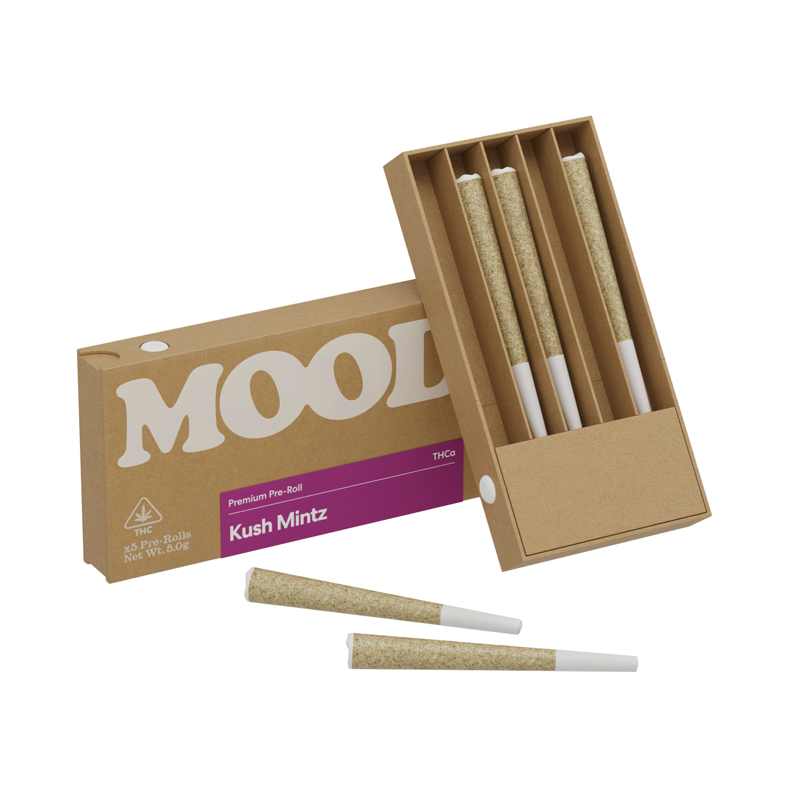 kush-mintz-scaled-1.png